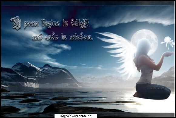 my gallery - black_wings - FAN ART
